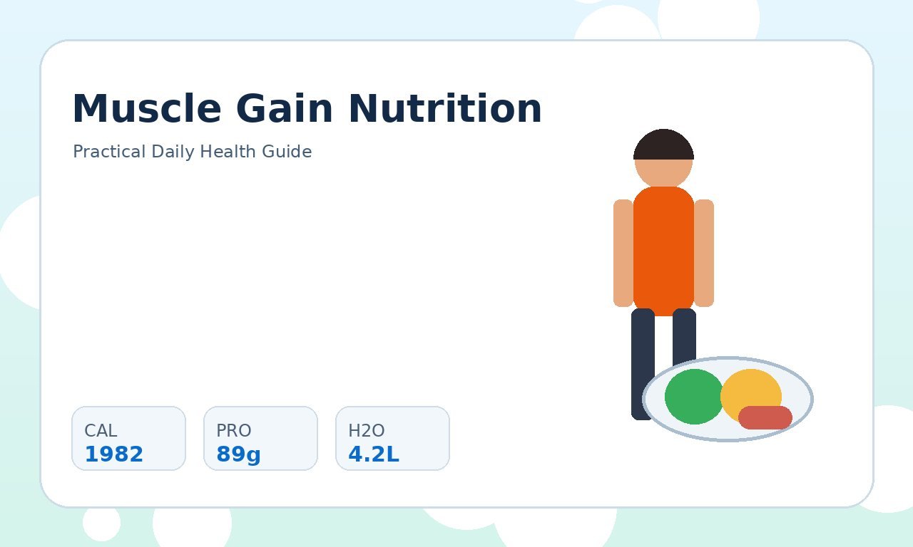 Muscle Gain Nutrition: Calories and Macros Explained practical health illustration 1